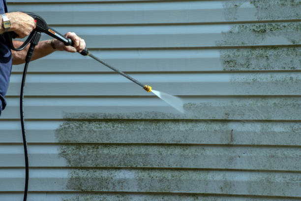 Best Roof Pressure Washing  in Casselton, ND